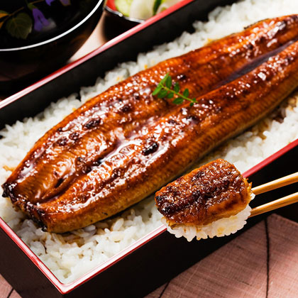 フード撮影うなぎ蒲焼画像